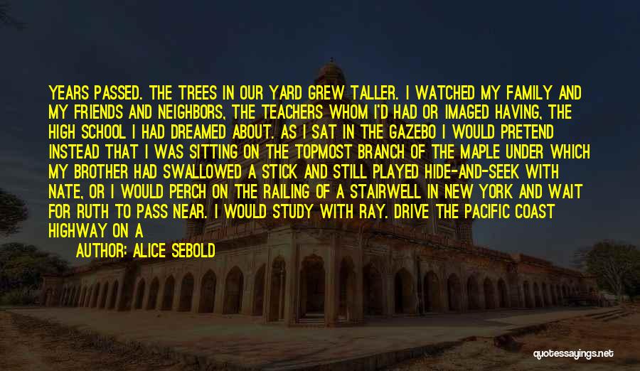 Lost Family Quotes By Alice Sebold Lost Family Quotes By Alice Sebold
