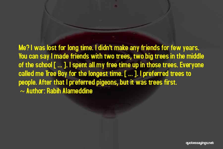 Lost Friendship Quotes By Rabih Alameddine