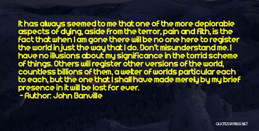 Lost Illusions Quotes By John Banville