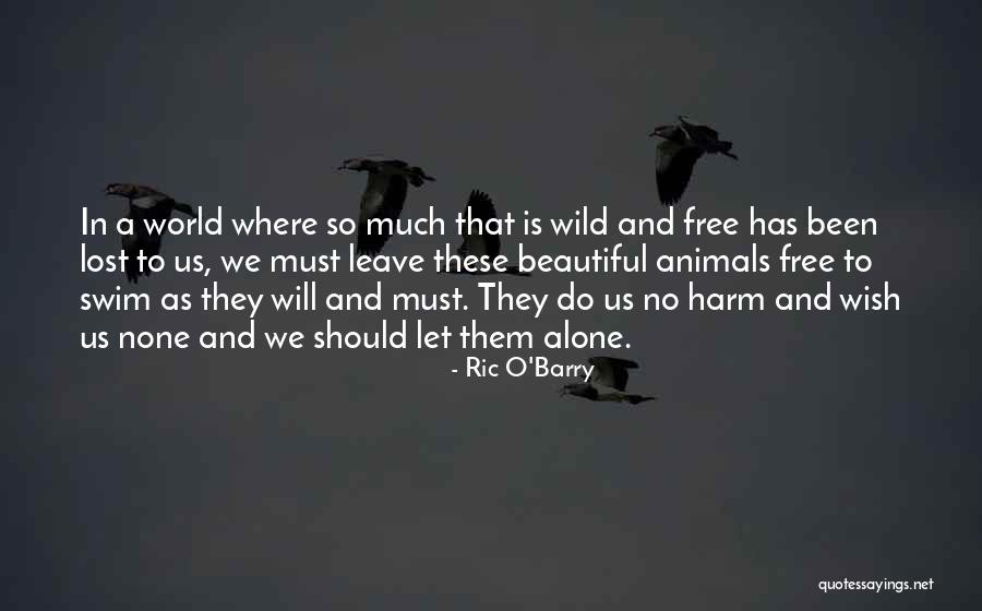 Lost In A World Quotes By Ric O'Barry Lost In A World Quotes By Ric O'Barry