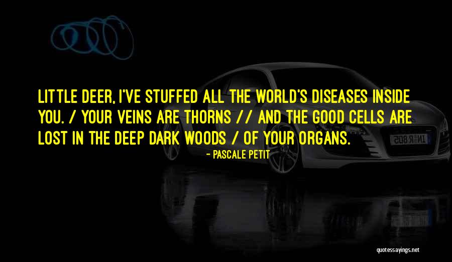 Lost In The Woods Quotes By Pascale Petit Lost In The Woods Quotes By Pascale Petit