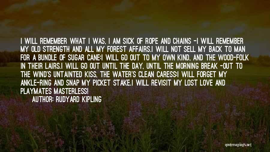 Lost Love And Strength Quotes By Rudyard Kipling