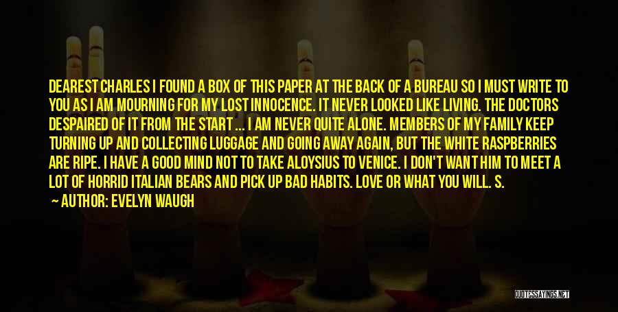 Lost Love Found Again Quotes By Evelyn Waugh