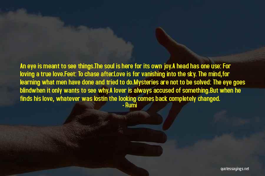 Lost Love Inspirational Quotes By Rumi Lost Love Inspirational Quotes By Rumi