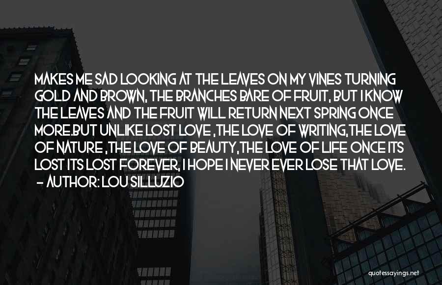 Lost Love Sad Quotes By Lou Silluzio
