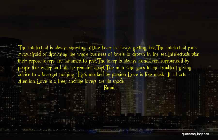 Lost Lovers Quotes By Rumi Lost Lovers Quotes By Rumi