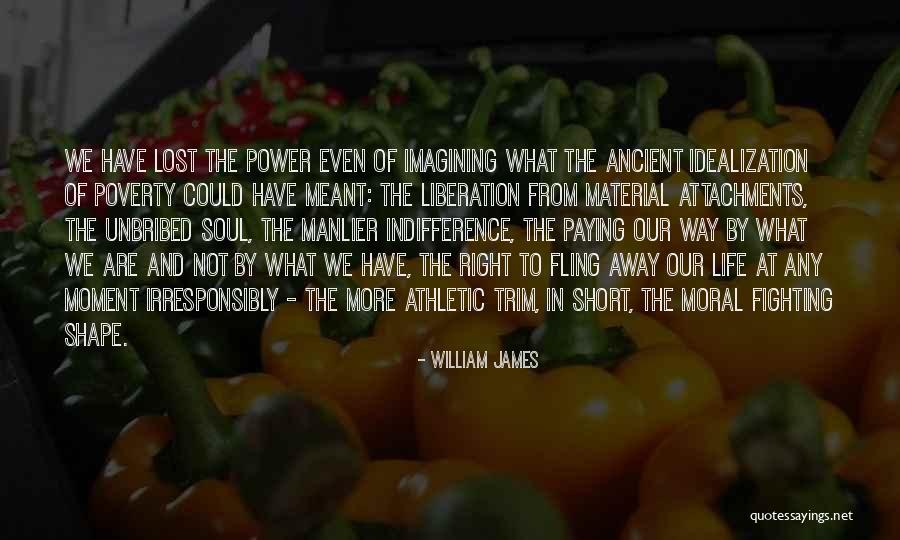 Lost Material Things Quotes By William James