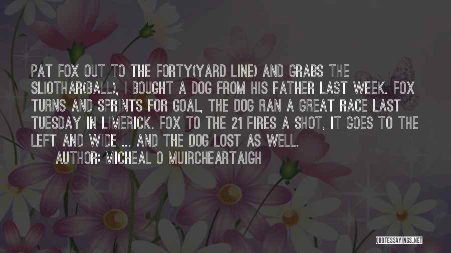 Lost My Dog Quotes By Micheal O Muircheartaigh