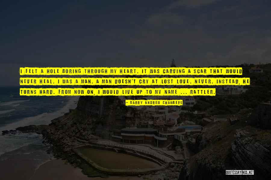 Lost My Heart Quotes By Barry Andrew Chambers Lost My Heart Quotes By Barry Andrew Chambers