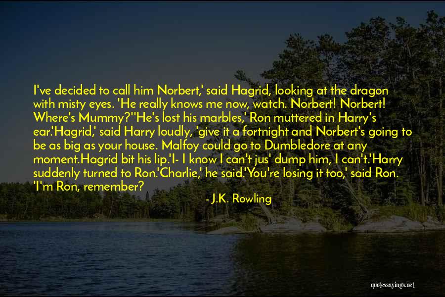 Lost My Marbles Quotes By J.K. Rowling