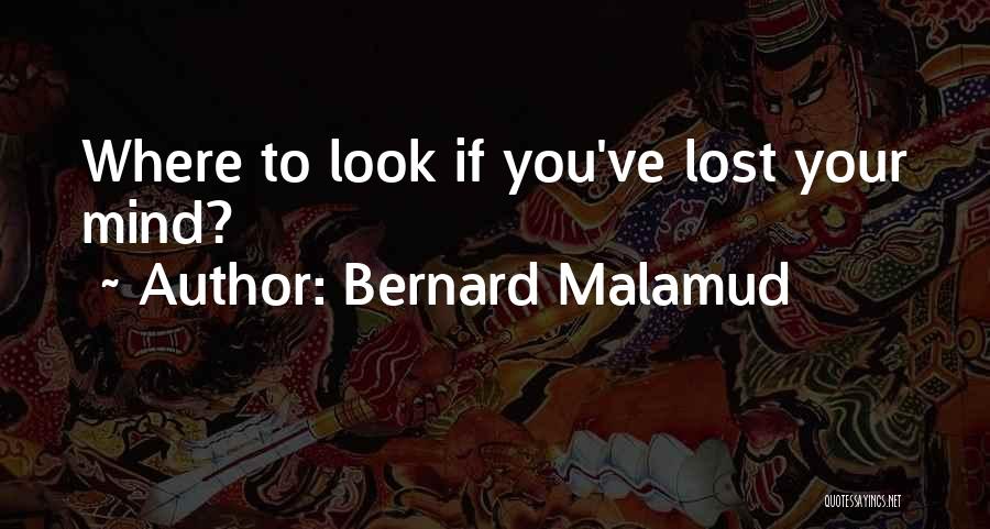 Lost My Sanity Quotes By Bernard Malamud