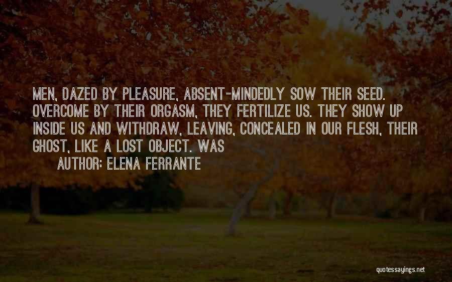 Lost Object Quotes By Elena Ferrante