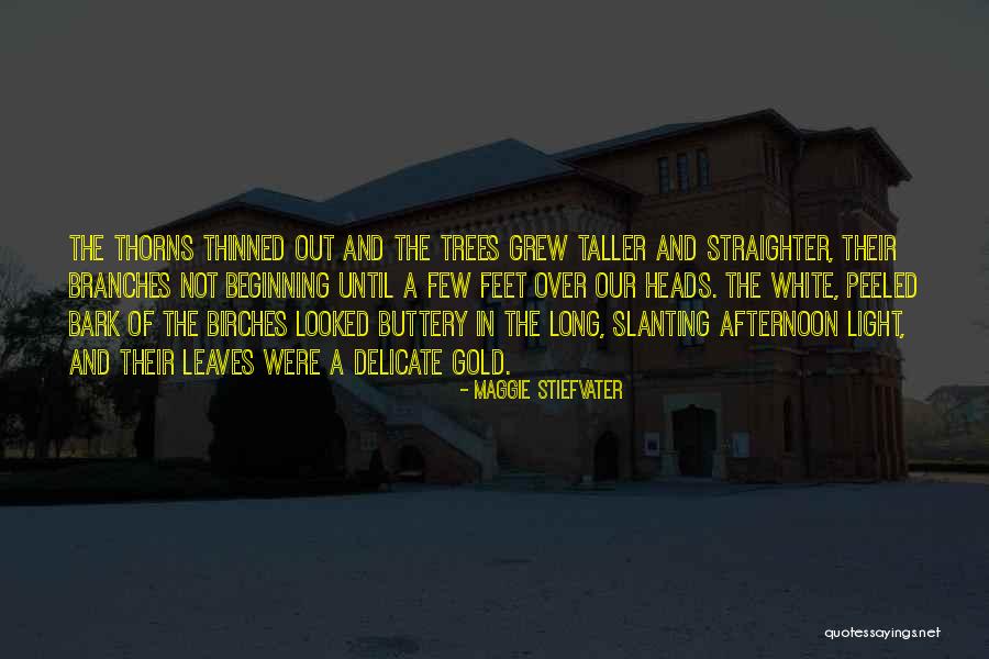 Lost Property James Moloney Quotes By Maggie Stiefvater Lost Property James Moloney Quotes By Maggie Stiefvater