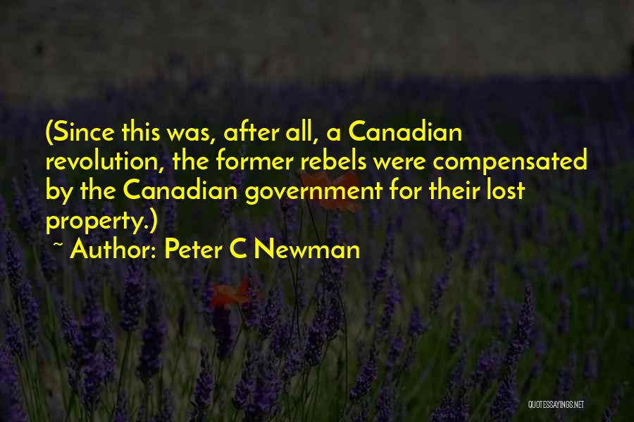 Lost Property Quotes By Peter C Newman