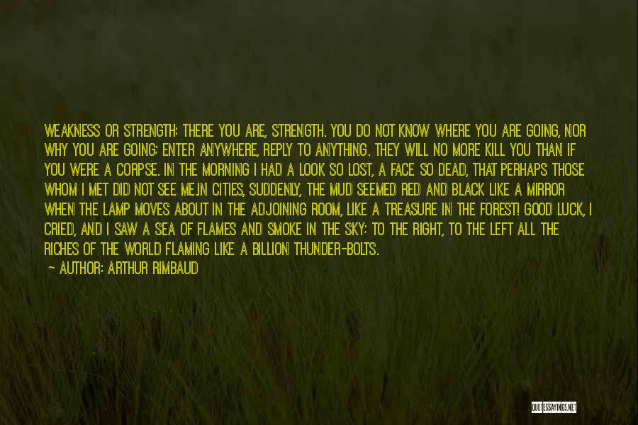 Lost Riches Quotes By Arthur Rimbaud