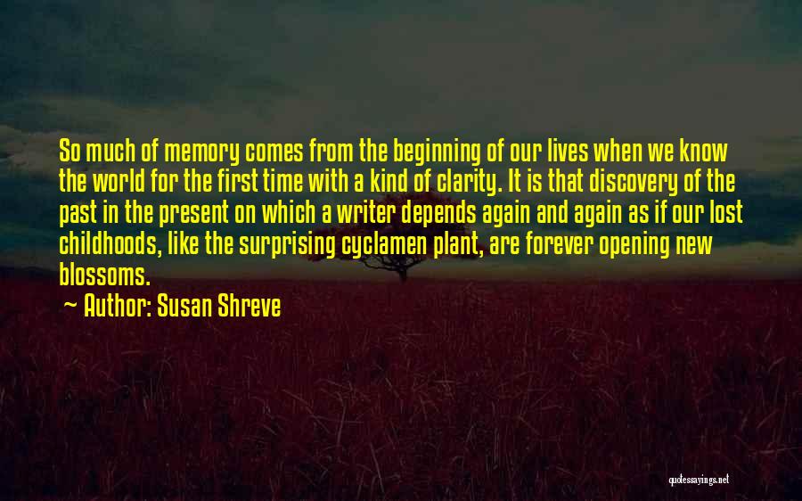 Lost So Much Quotes By Susan Shreve