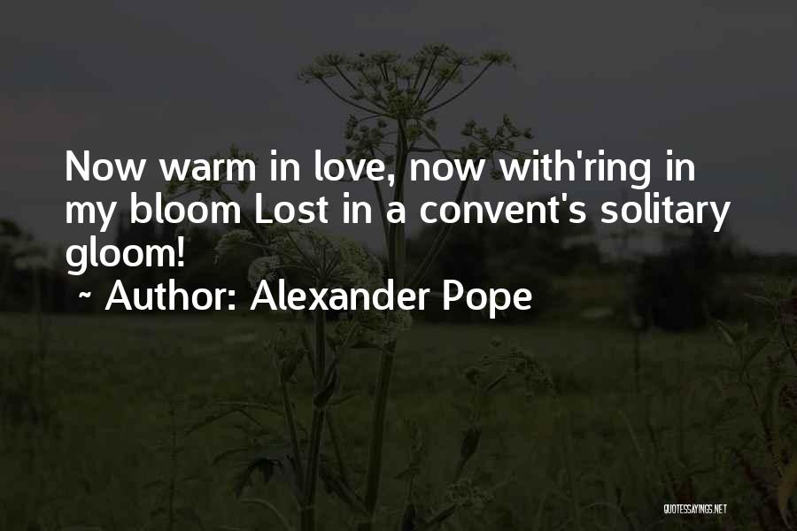 Lost Solitary Quotes By Alexander Pope