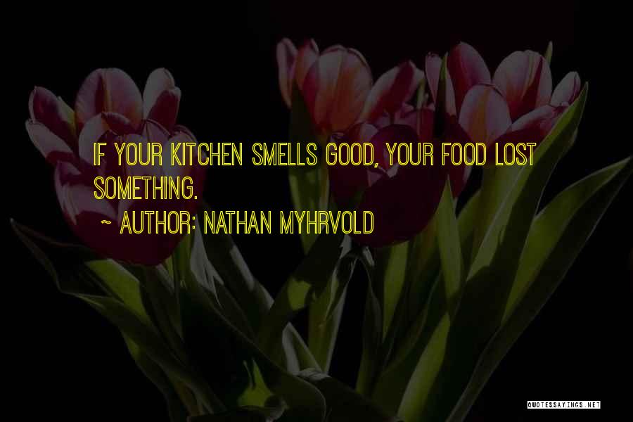 Lost Something Good Quotes By Nathan Myhrvold