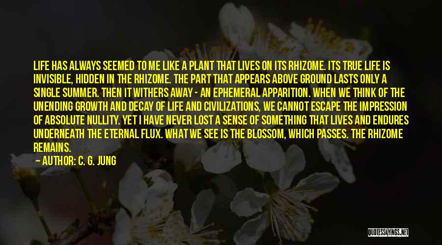 Lost Something In Life Quotes By C. G. Jung