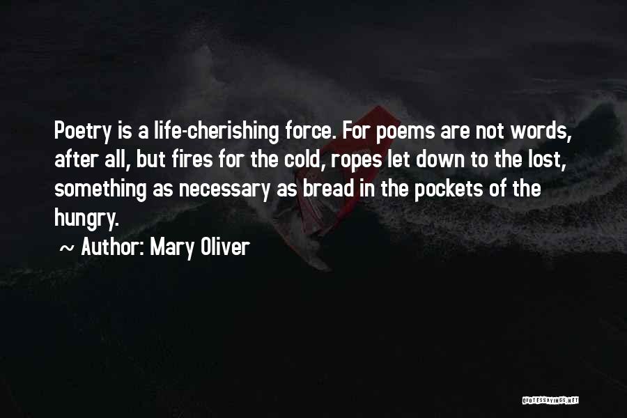 Lost Something In Life Quotes By Mary Oliver