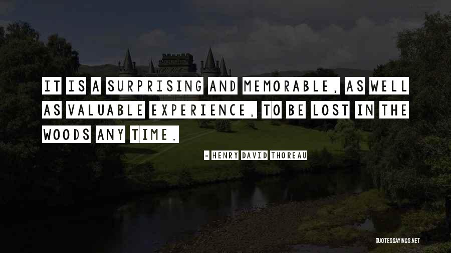 Lost Something Valuable Quotes By Henry David Thoreau Lost Something Valuable Quotes By Henry David Thoreau