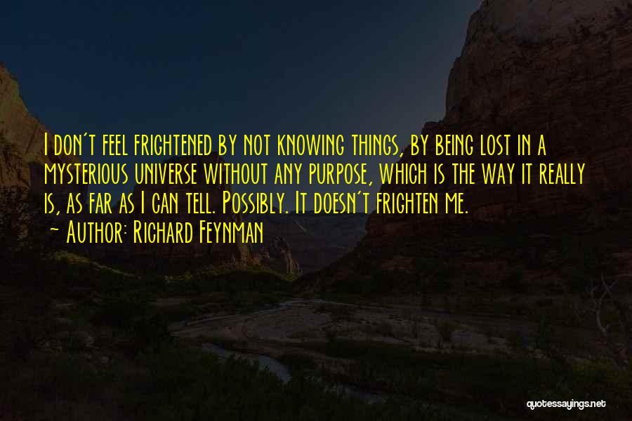 Lost The Way Quotes By Richard Feynman