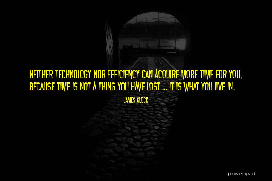 Lost Thing Quotes By James Glieck Lost Thing Quotes By James Glieck