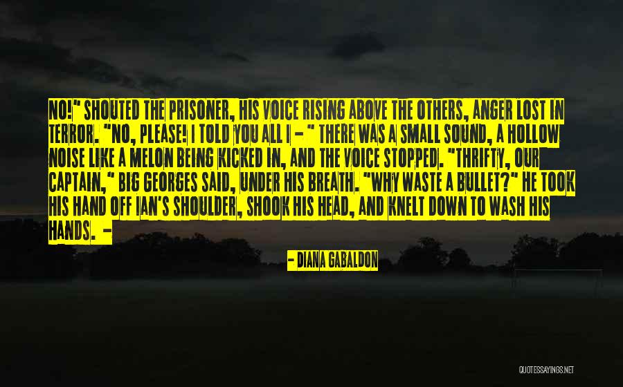 Lost Voice Quotes By Diana Gabaldon Lost Voice Quotes By Diana Gabaldon