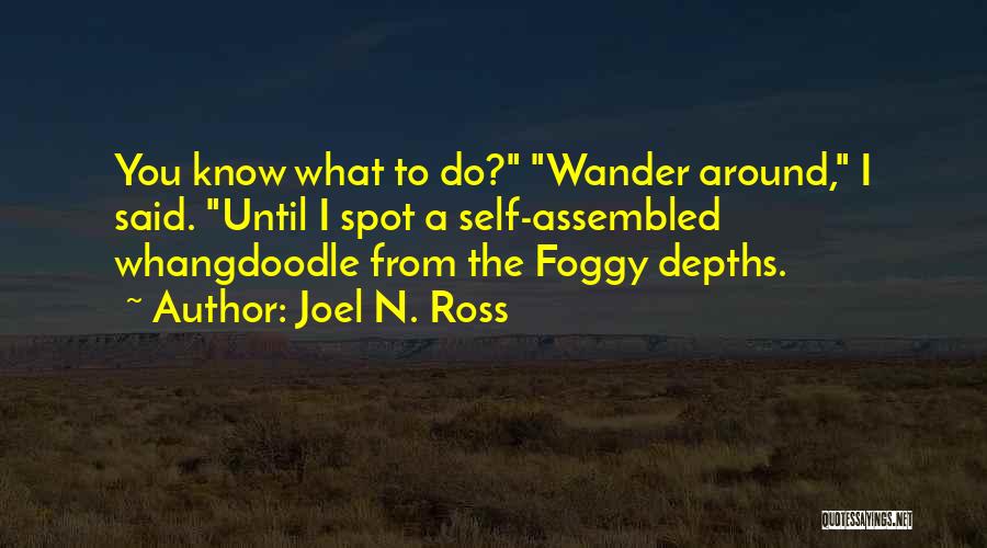 Lost Wander Quotes By Joel N. Ross