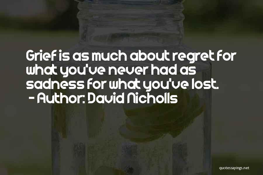 Lost What You Had Quotes By David Nicholls