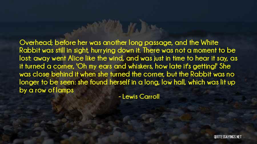 Lost White Rabbit Quotes By Lewis Carroll