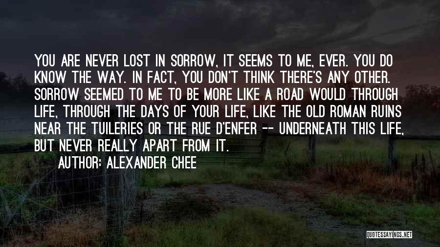 Lost Your Way In Life Quotes By Alexander Chee