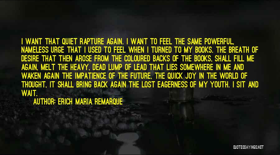 Lost Youth Quotes By Erich Maria Remarque