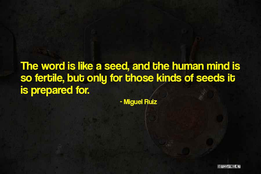 Losurdo Inc Addison Quotes By Miguel Ruiz Losurdo Inc Addison Quotes By Miguel Ruiz