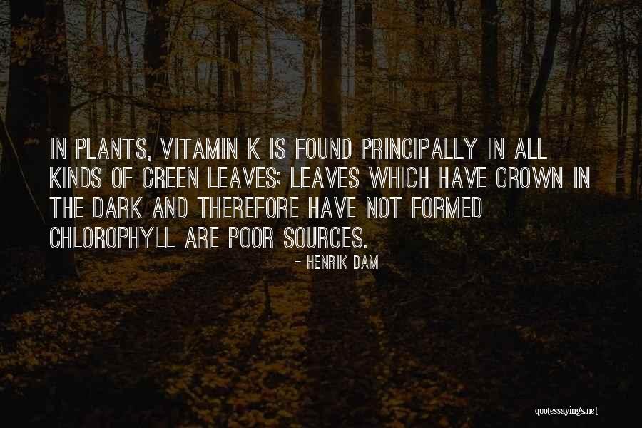 Lotbini Re Map Quotes By Henrik Dam Lotbini Re Map Quotes By Henrik Dam