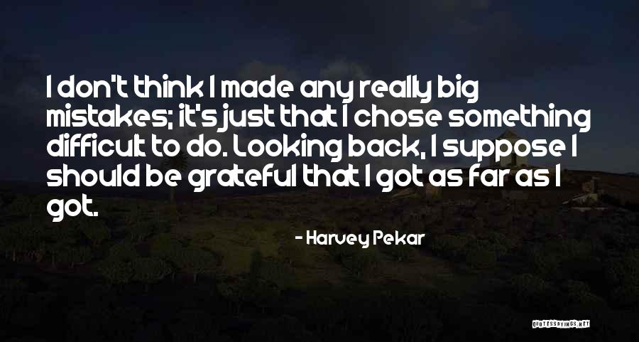Lotgering Hondenvoer Quotes By Harvey Pekar Lotgering Hondenvoer Quotes By Harvey Pekar
