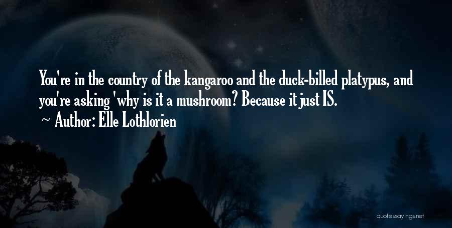 Lothlorien Quotes By Elle Lothlorien