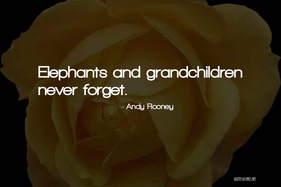 Lotis Plizga Quotes By Andy Rooney Lotis Plizga Quotes By Andy Rooney