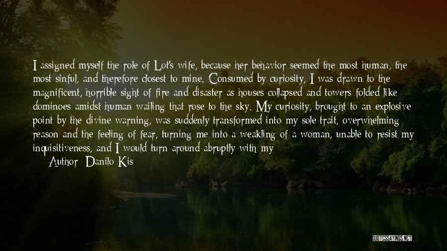 Lot's Wife Quotes By Danilo Kis