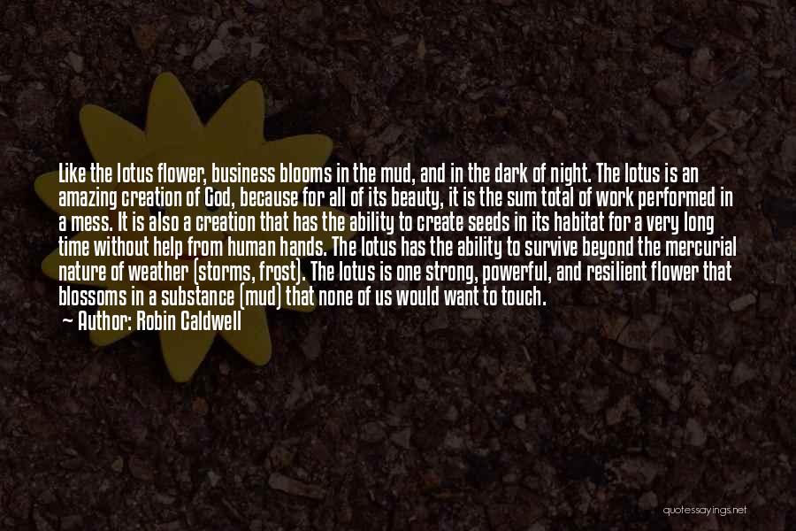 Lotus Blossoms Quotes By Robin Caldwell