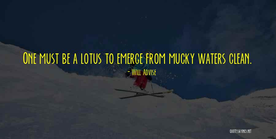 Lotus Flower Lotus Quotes By Will Advise Lotus Flower Lotus Quotes By Will Advise