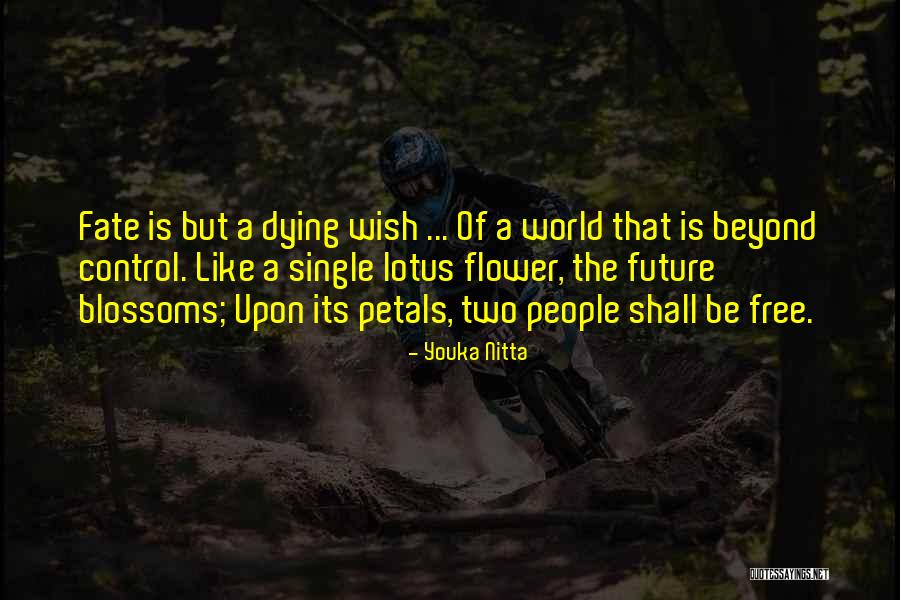 Lotus Flower Lotus Quotes By Youka Nitta Lotus Flower Lotus Quotes By Youka Nitta