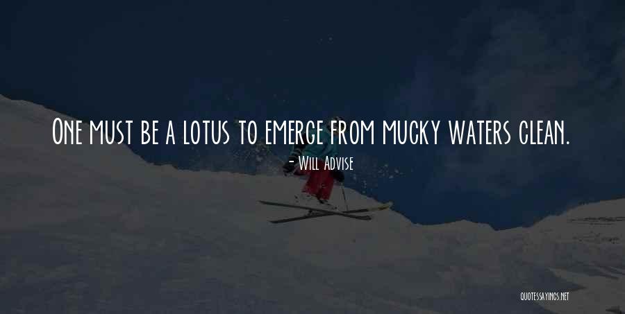 Lotus Flower Meaning Quotes By Will Advise Lotus Flower Meaning Quotes By Will Advise