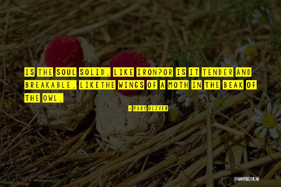 Lotze Outlines Quotes By Mary Oliver Lotze Outlines Quotes By Mary Oliver