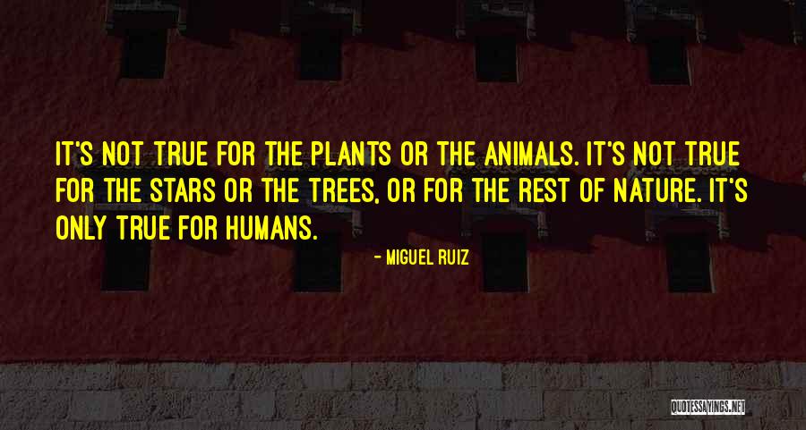 Lou Holtz Hernan Cortes Quotes By Miguel Ruiz Lou Holtz Hernan Cortes Quotes By Miguel Ruiz