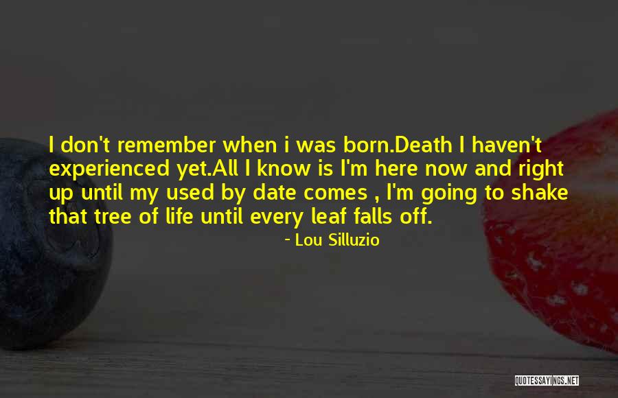 Lou Silluzio Quotes 946265