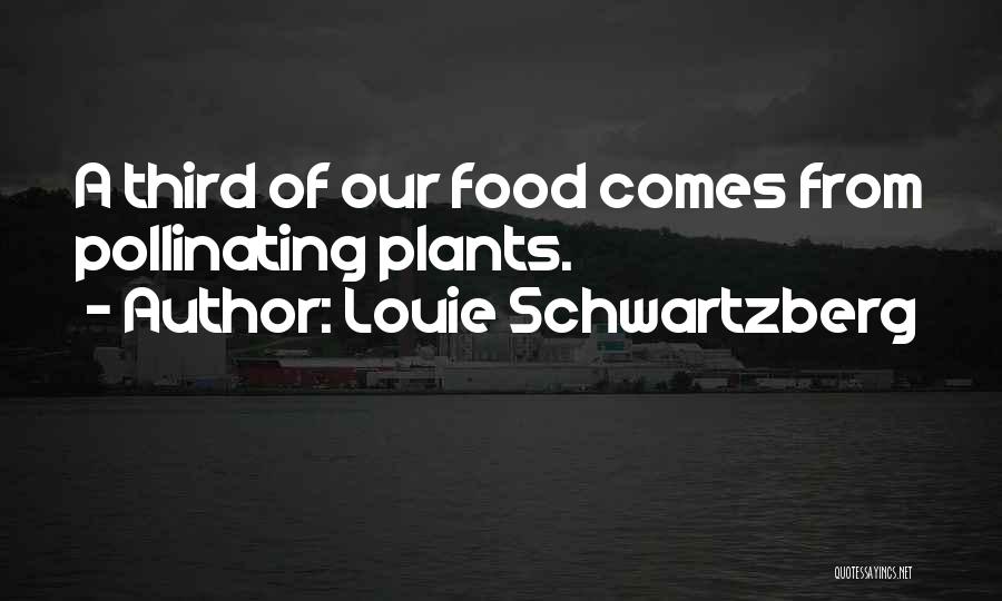 Louie Schwartzberg Quotes 1468856