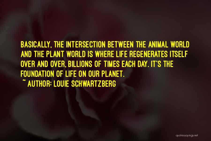 Louie Schwartzberg Quotes 1661621