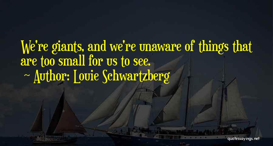 Louie Schwartzberg Quotes 1961205