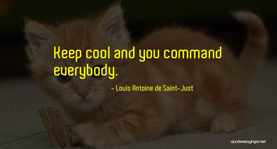 Louis Antoine De Saint-Just Quotes 1827252